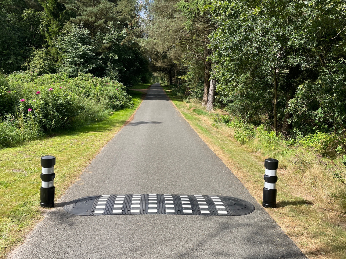 Fartzone 30 km/t